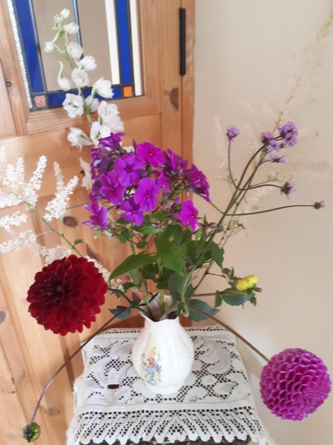 The Creggs Bed and Breakfast Ballyvaughan Exteriör bild